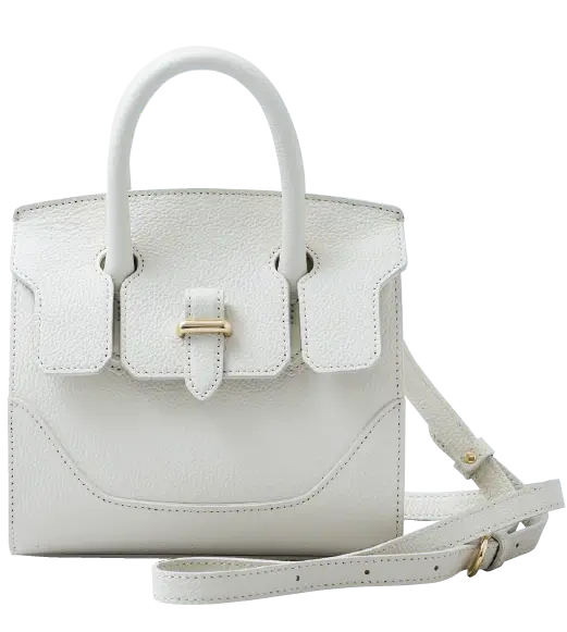 気品をたたえた２ＷＡＹミニボストン