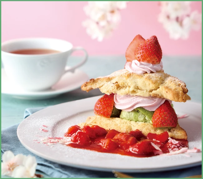 Afternoon Tea TEAROOM